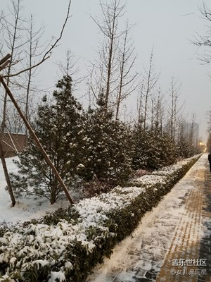 西安的第二场雪