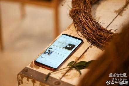 美艳不可方物，勃艮第红S8