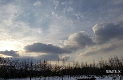 大雪过后的美景。