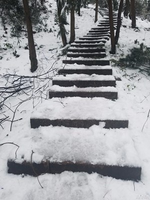 杭州下雪了