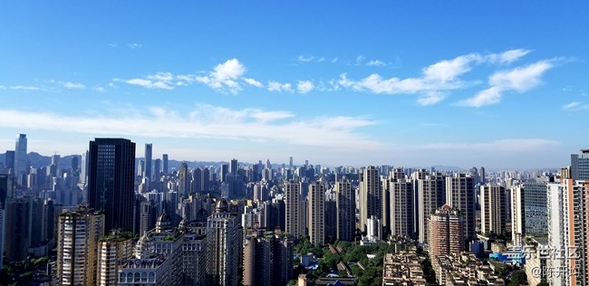 手机拍照哪家强- -