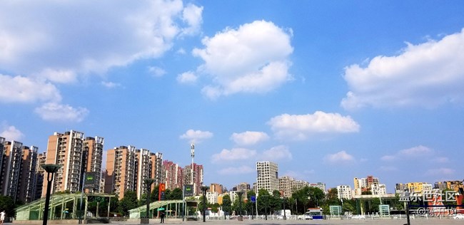 手机拍照哪家强- -
