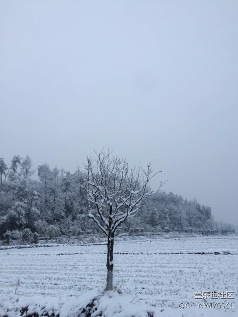 三星S8拍照，东城雪景