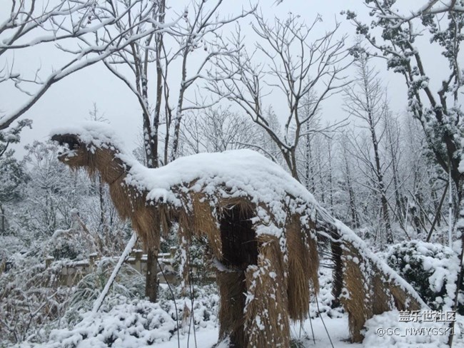 三星S8拍照，东城雪景