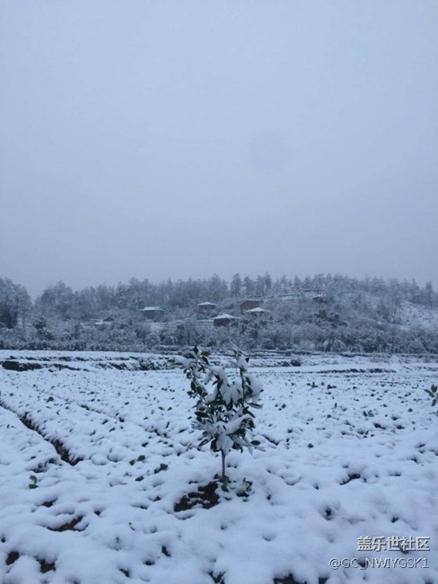 三星S8拍照，东城雪景