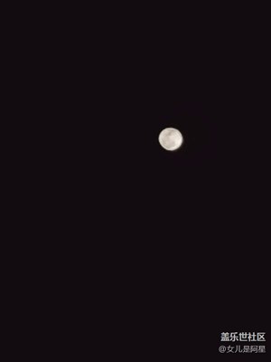 小8拍十六的月亮