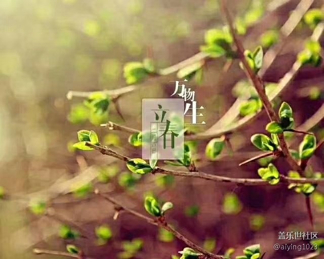 立春快乐小伙伴们！