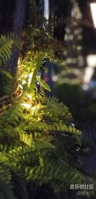 夜景