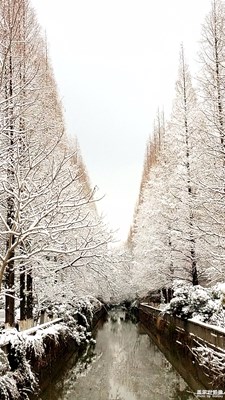 年前的一场大雪