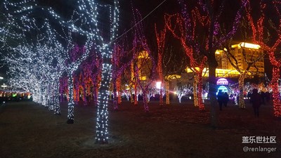 【欢欢喜喜过大年】+霓虹灯会
