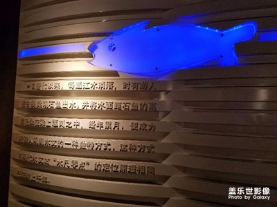 涪陵白鹤梁