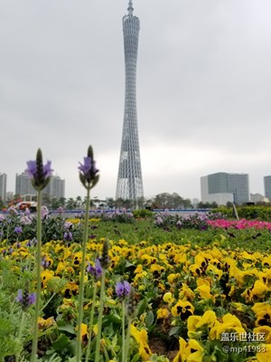 【欢欢喜喜过大年】+美在花城