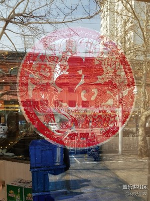 【欢欢喜喜过大年】春节看花