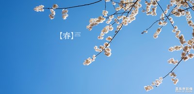 【春风】+樱桃花开