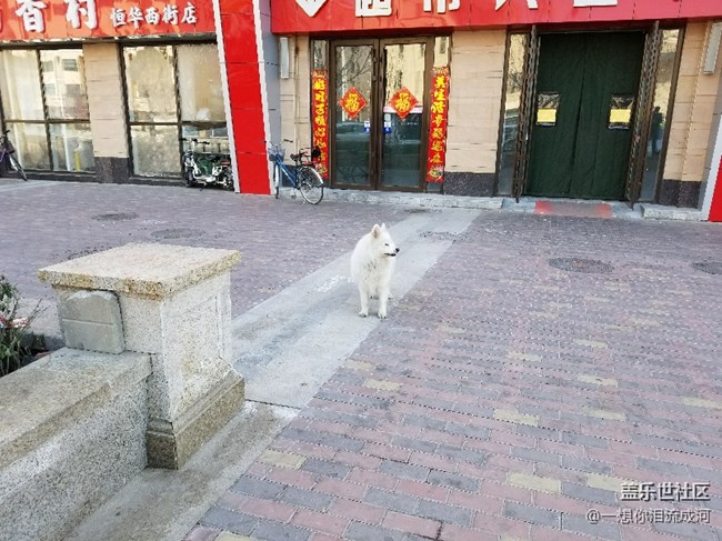 雪橇三傻 还少一个