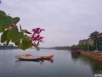 烟雨龙舟池