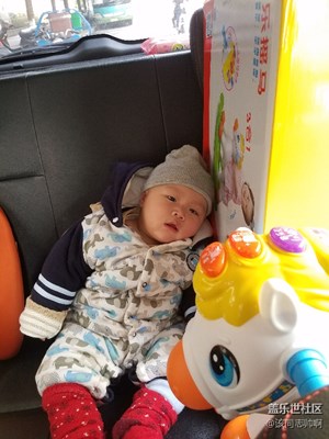 逗我——没啥玩的吗