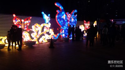 正月十五看花灯