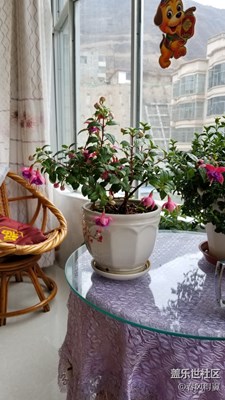 为练手