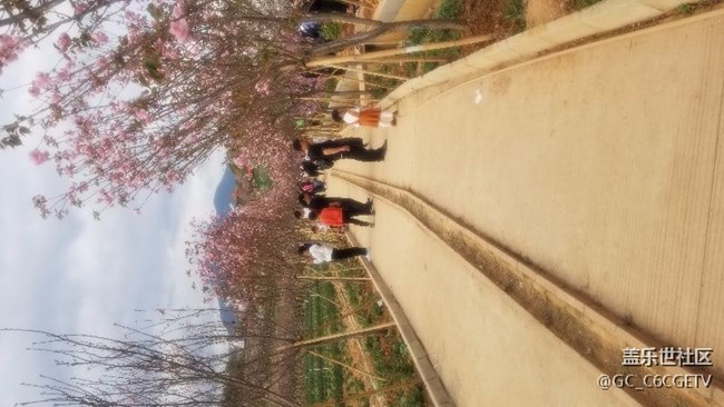 三星S8+拍照模糊