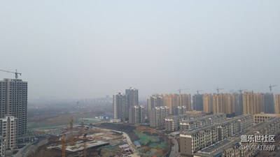 定格