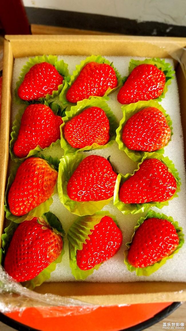 🍓草莓🍓