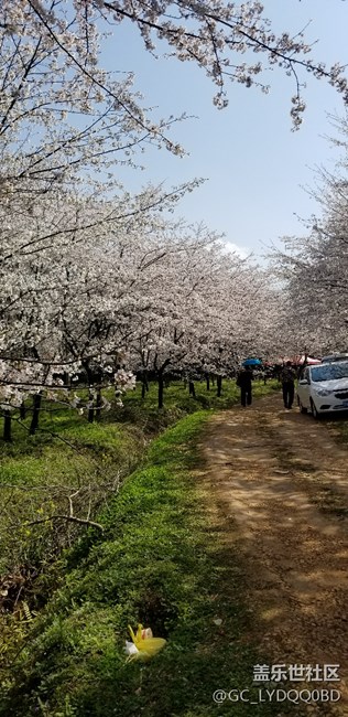 随手拍