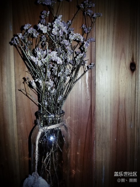 三星的美食模式还是不错的