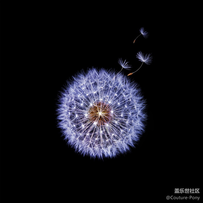 壁纸分享
