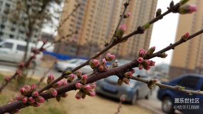 春暖花开