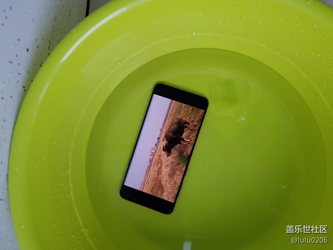 S9+先行者简单下水视频及照片