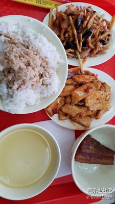 素食主义