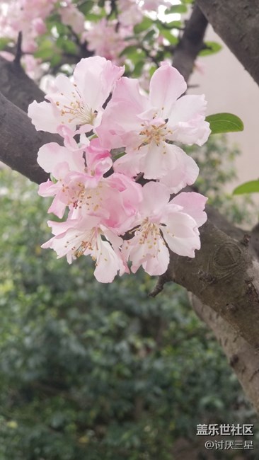 强烈要求NOTE8升级8.0