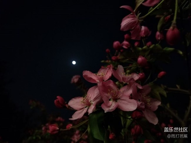 S8夜拍分享。