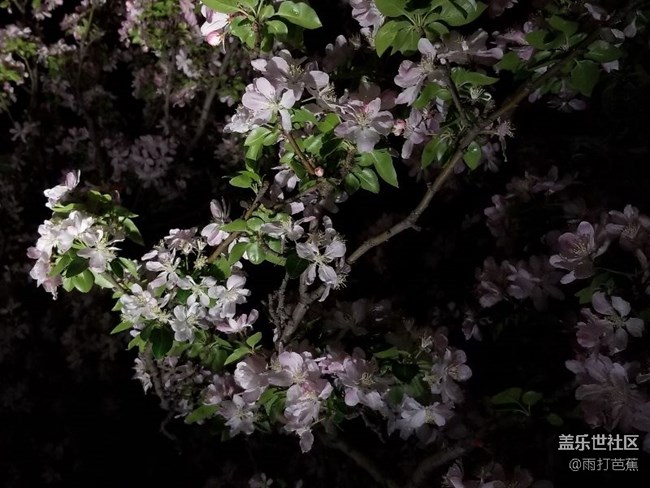 S8夜拍分享。