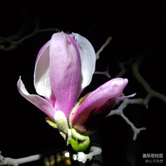 S9+暗光拍摄