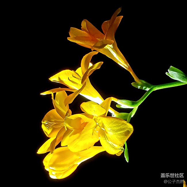 S9+暗光拍摄