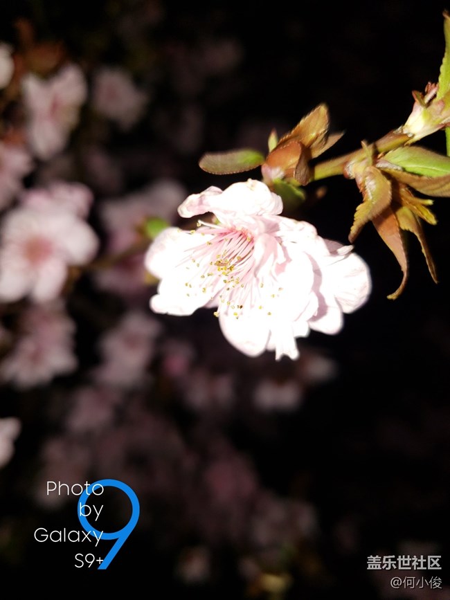 【分享】买了手机好几天了，都没怎么拍照