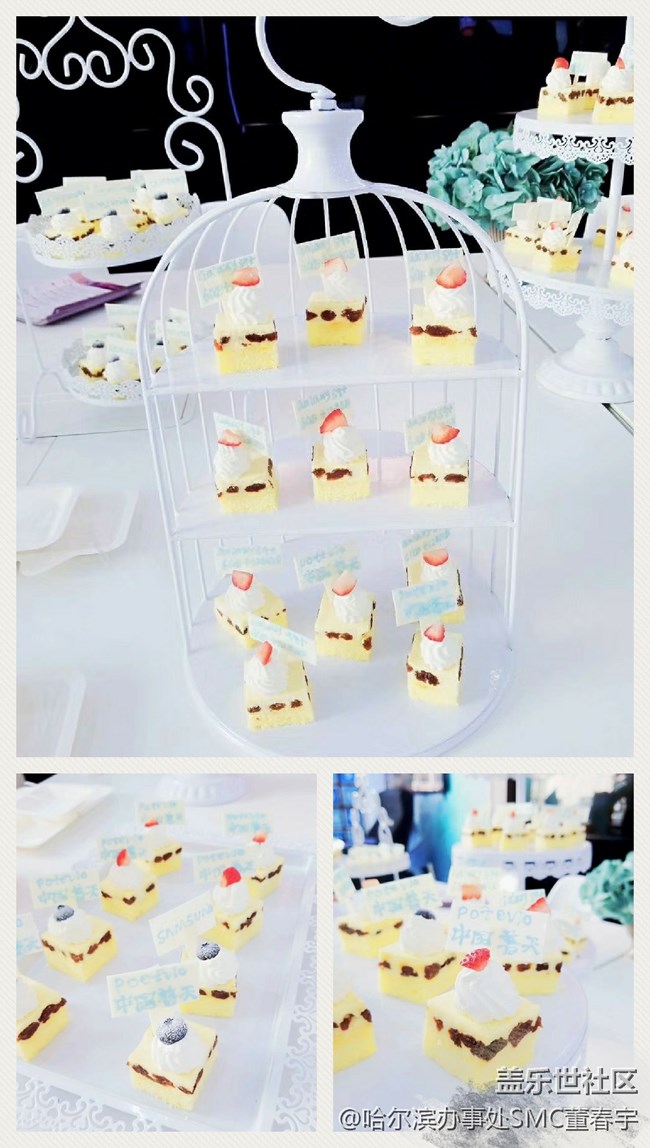 黑龙江分公司哈尔滨小区梦之队