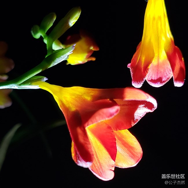 S9+暗光拍摄