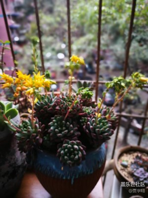 风景
