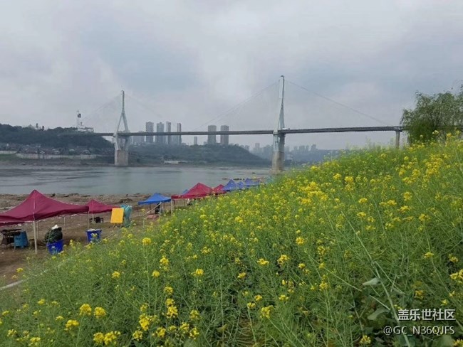 四川分公司~重庆陈管鸿区域