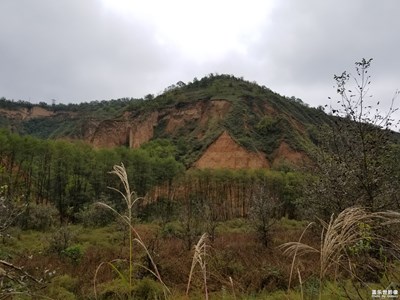 黄土高原