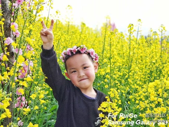 自己做了一黑一白s9+的专属水印，需要的拿去……