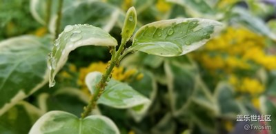 雨天适合拍照