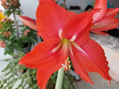 来着三星S8+拍摄