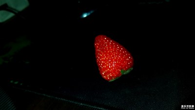 不一样红草莓