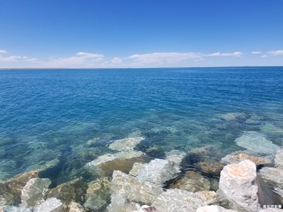 留住记忆的照片+青海湖