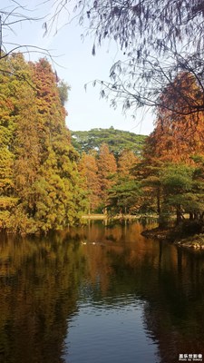 【留住记忆的照片】油画一样的风景