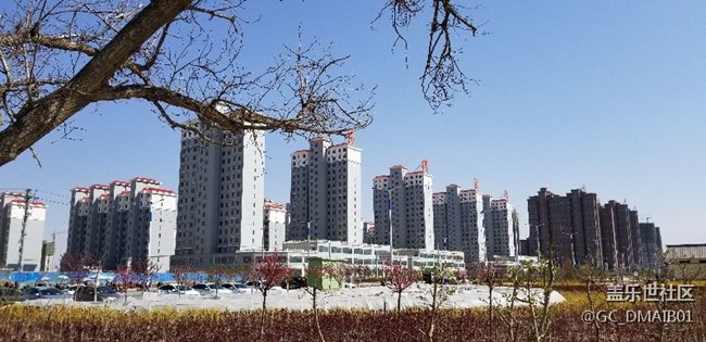 随拍